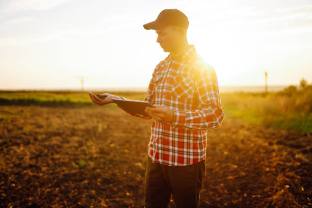 Modern Tree Care Techniques for Healthy Landscapes Modern Tree Care Techniques