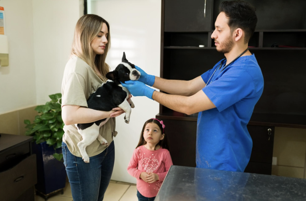How Vets Educate Owners To Better Care For Their Pets